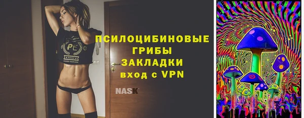 не бодяженный Каменногорск